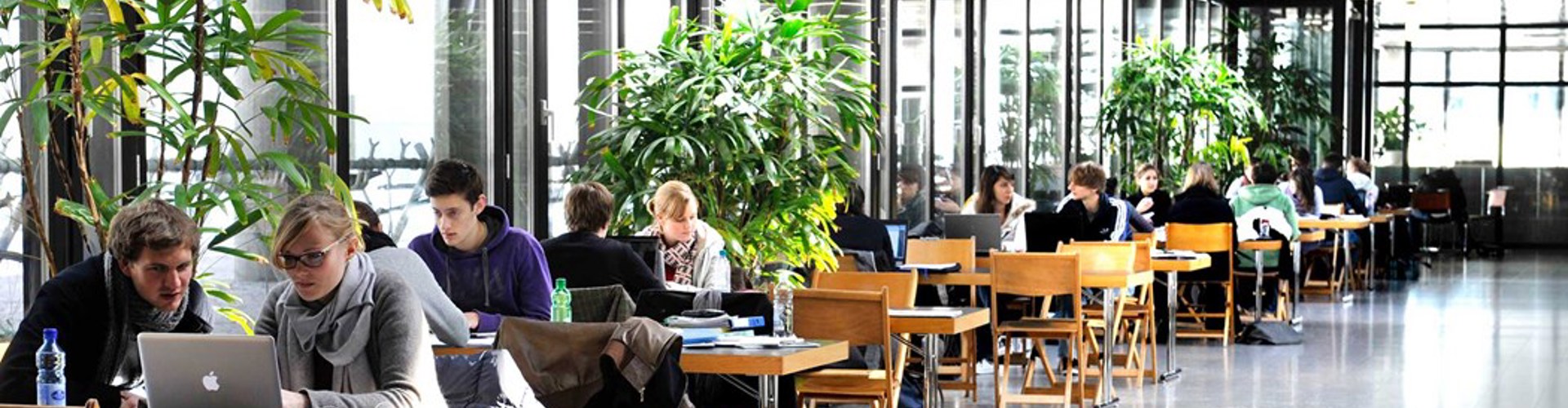 Flyer und Standaktionen